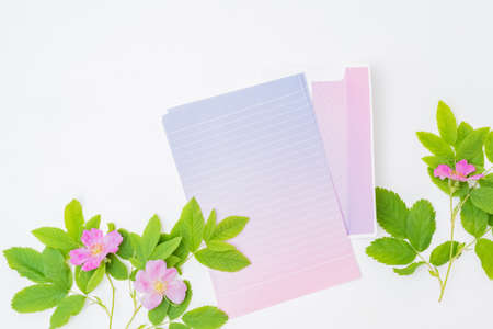 Mockup wedding invitation and envelope with ith pink small flowers and green leaves on a light backgroundの写真素材