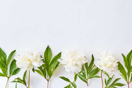 Flat lay pattern with white peonies on a white background