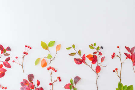 Flat lay pattern with colorful autumn leaves and apples on a white backgroundの写真素材
