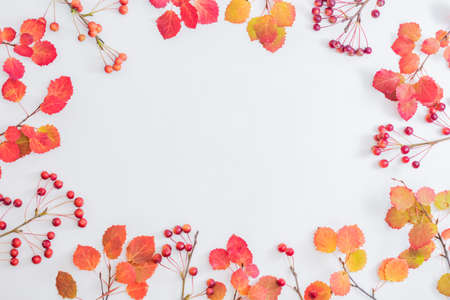 Flat lay composition with colorful autumn leaves and small red apples on a white background