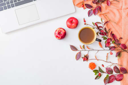 Flat lay composition with colorful autumn leaves, laptop, scarf and a cup of coffee on a white backgroundの写真素材