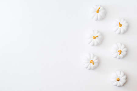 Flat lay pattern with pumpkins on a white backgroundの写真素材