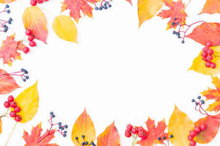 Flat lay frame with colorful autumn leaves and berries on a white background