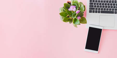 Flat lay home office desktop with laptop, flowers in a pot, office supplies on a pink backgroundの写真素材