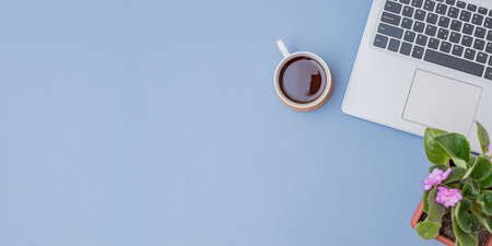 Flat lay home office desktop with laptop, flowers in a pot, office supplies on a blue backgroundの写真素材