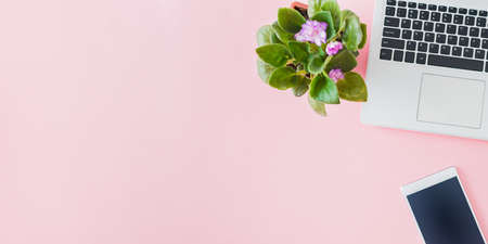 Flat lay home office desktop with laptop, flowers in a pot, office supplies on a pink backgroundの写真素材