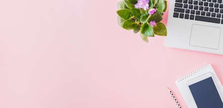 Flat lay home office desktop with laptop, flowers in a pot, office supplies on a pink backgroundの写真素材
