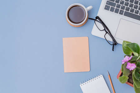 Flat lay home office desktop with laptop, flowers in a pot, office supplies on a blue background