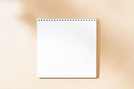 Flat Lay mockup white notepad and contrasting shadows on color background