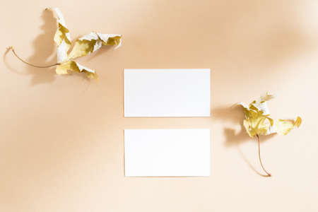 Flat lay mockup business cards with dry leaves and contrasting shadows on color backgroundの写真素材