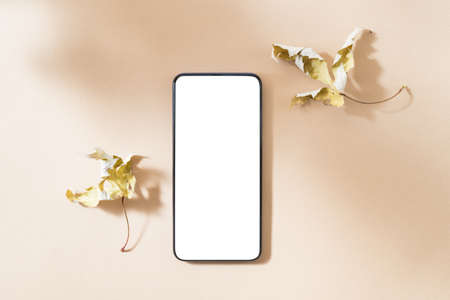 Flat lay mockup of smartphone with blank screen on color background and contrast shadows