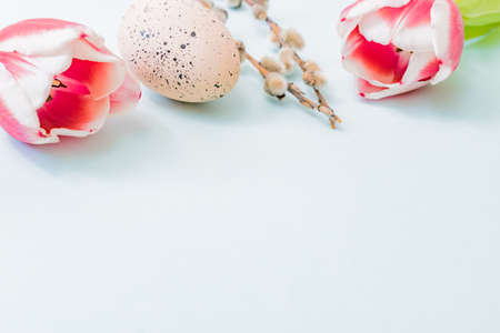 Easter composition with pink tulips and eggs on color backgroundの写真素材