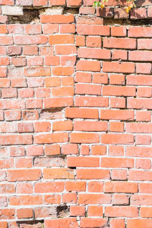 Vertical background with old red brick wall and the shadows of the leavesの写真素材