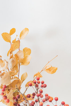 Dry autumn leaves on a light backgroundの写真素材