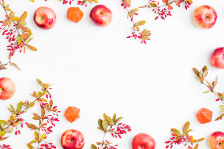 Flat lay frame with colorful autumn leaves and red berries on a white backgroundの写真素材