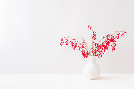 Branches with red berries in a vase on a light backgroundの写真素材