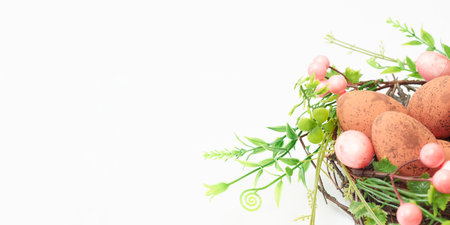 Easter eggs in a nest on a white background. Easter background with copy spaceの写真素材