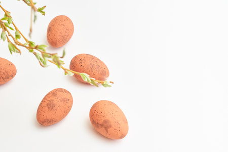 Branches with buds and green leaves, easter eggs on a white background. Happy easter concept with copy spaceの写真素材