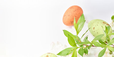Branches with green leaves and easter eggs on a white background. Happy easter concept with copy spaceの写真素材