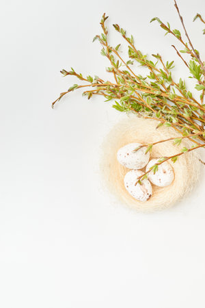 Flat lay easter composition with buds and green leaves, easter eggs in a nest on a white background. Happy easter concept with copy spaceの写真素材