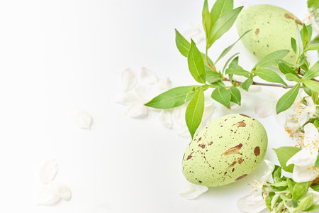 Branches with green leaves and easter eggs on a white background. Happy easter concept with copy spaceの写真素材
