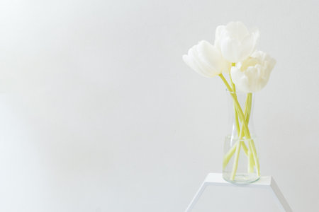 White spring tulips in a vase on a white backgroundの写真素材