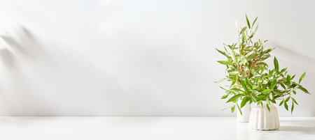 Branches with green leaves in a vase and shadows on a white table. Mock up for display worksの写真素材