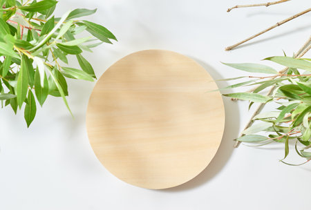 Empty round wooden podium for product presentation and green leaves on a light background. Mock up for display worksの写真素材