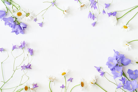 Flat lay frame with wildflowers on white backgroundの写真素材