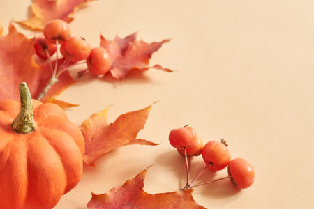 Colorful autumn leaves and pumpkins on an orange background. Nature mockup backgroundの写真素材