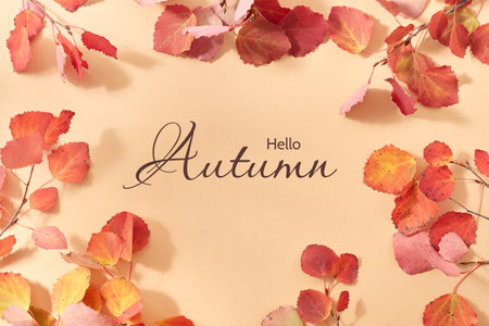Flat lay frame with colorful autumn leaves on an orange background. Fall banner with hello autumn textの写真素材