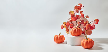Small orange pumpkins and white podium. Colorful autumn leaves on a light background. Mock up for display worksの写真素材