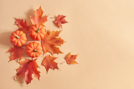 Flat lay frame with colorful autumn leaves and pumpkins on an orange backgroundの写真素材