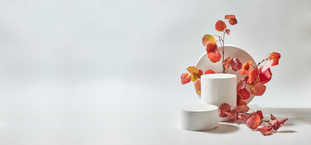 Empty round white podium for product presentation. Colorful autumn leaves on a light background. Mock up for display worksの写真素材
