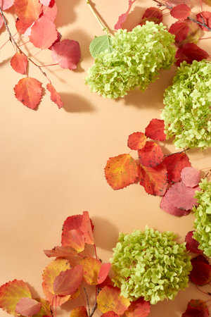 Flat lay frame with colorful autumn leaves and green flowers on an orange backgroundの写真素材