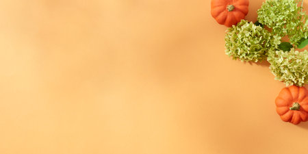 Flat lay autumn frame with green flowers and pumpkins on an orange backgroundの写真素材