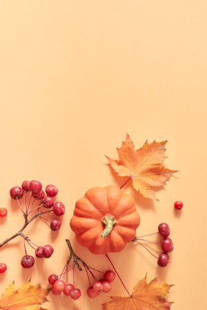 Flat lay frame with colorful autumn leaves and pumpkins on an orange backgroundの写真素材