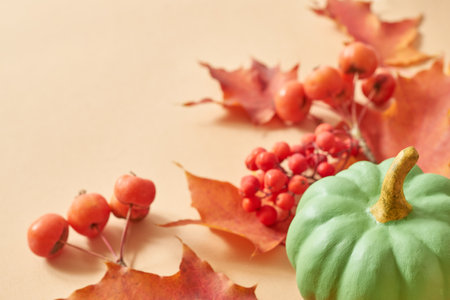Colorful autumn leaves and pumpkins on an orange background. Nature mockup backgroundの写真素材