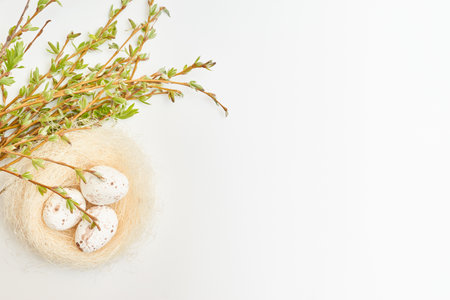 Flat lay easter composition with buds and green leaves, easter eggs in a nest on a white background. Happy easter concept with copy spaceの写真素材