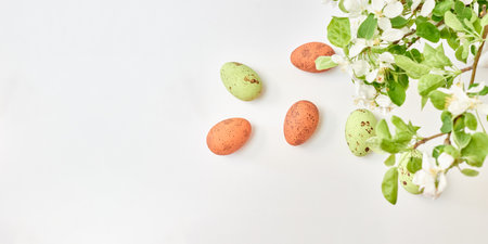 Spring flowers and easter eggs on a white background. Happy easter flat lay concept with copy spaceの写真素材