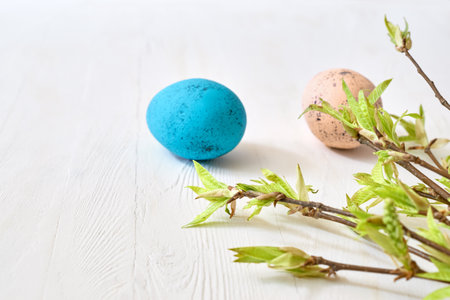 Branches with green leaves and easter eggs on a light background. Happy easter concept with copy spaceの写真素材