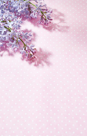 Flat lay frame with lilac branches on a pink backgroundの写真素材