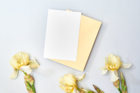 Mockup white greeting card and envelope with yellow irises on a light backgroundの写真素材