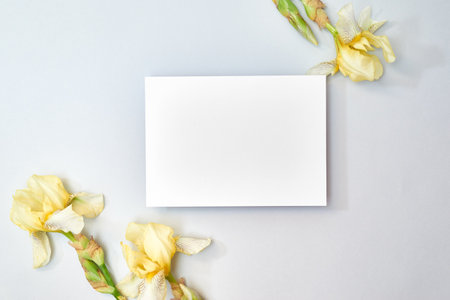 Mockup white greeting card with yellow irises on a light backgroundの写真素材