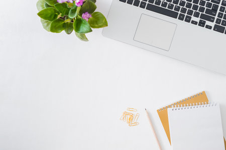 Flat lay home office desktop with laptop, flowers in a pot, notebook, office supplies on a light background. Top view banner background with copy spaceの写真素材