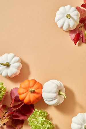 Flat lay frame with colorful autumn leaves and pumpkins on an orange backgroundの写真素材