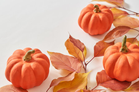 Colorful autumn leaves and pumpkins on a white background. Nature mockup backgroundの写真素材