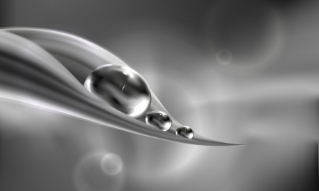 Drops on leaf  Vector のイラスト素材