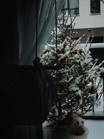 Christmas tree in the snow. A girl in a black dress stands near the window.