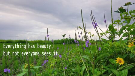 Inspirational quote - Everything has beauty, but not everyone sees it. With nature green grass and flowers background under blue gloomy sky.の写真素材